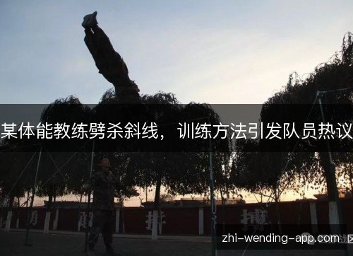 某体能教练劈杀斜线,训练方法引发队员热议 某体能教练劈杀斜线,训练方法引发队员热议
